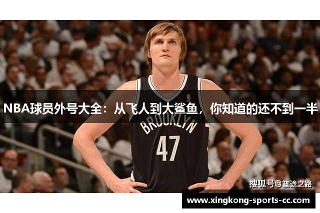 NBA球员外号大全：从飞人到大鲨鱼，你知道的还不到一半